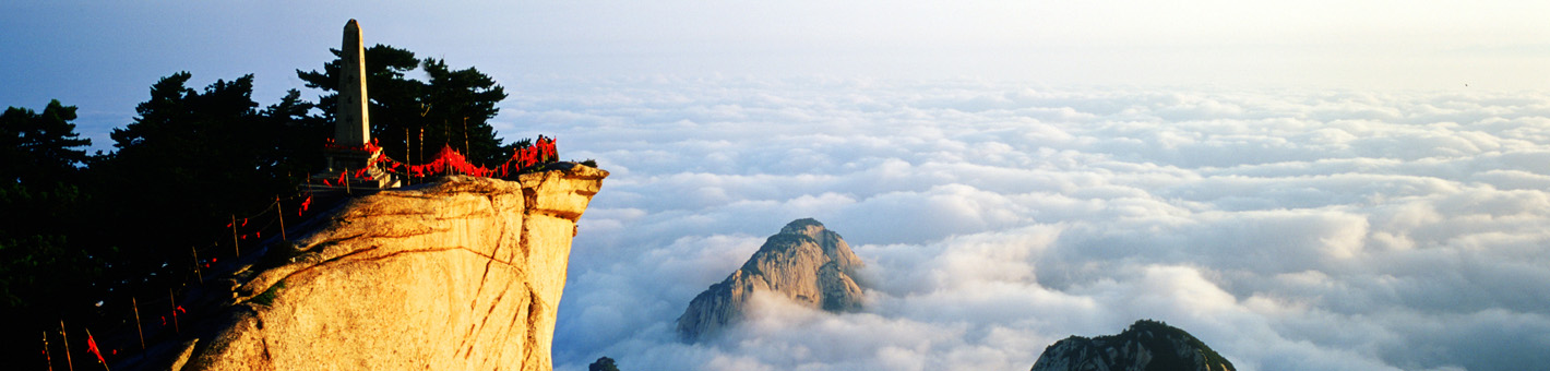 公司動(dòng)態(tài)